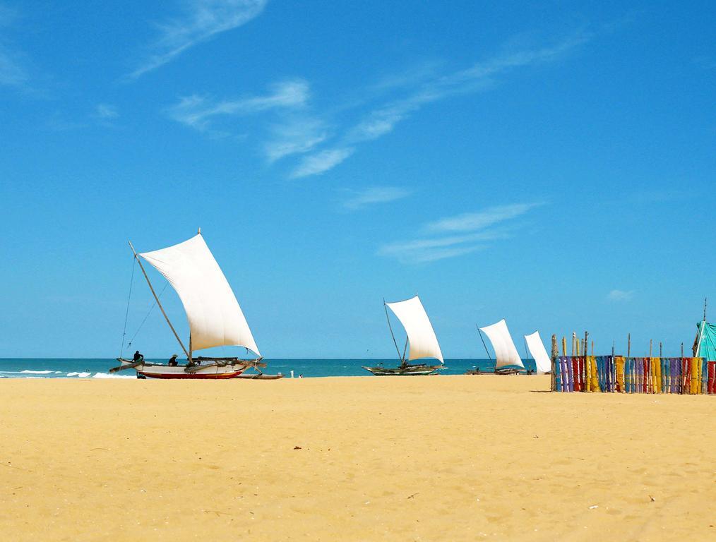 Zand Negombo Ettukala Exteriér fotografie
